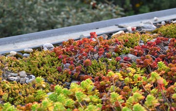the cost of Tilsop green roof installation